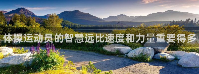 oety欧亿体育官网下载招商电话是多少:体操运动员的智慧远比