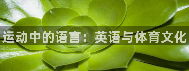 oety欧亿体育官网下载平台注册要钱吗安全吗:运动中的语言: