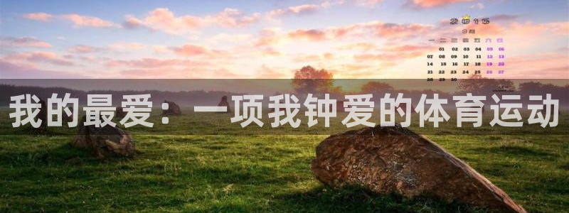 欧亿体育官方正版app新能源:我的最爱:一项我钟爱的体育运动